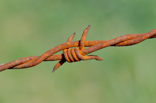 Rusty barbed — Stock Photo, Image