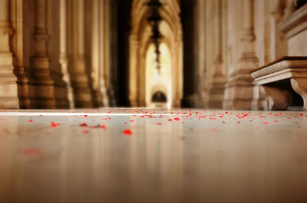 Romantic flower petals sprinkled on the floor — Stock Photo, Image