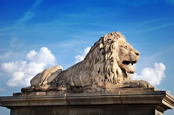 Lion statue in front of the Chain bridge in Budapest — Stock Photo, Image