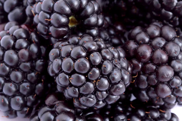 Słodki blackberry — Zdjęcie stockowe