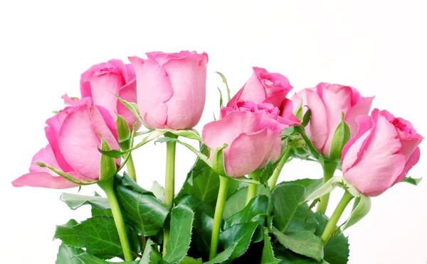 从在白色背景上的粉红玫瑰花束 — 图库照片