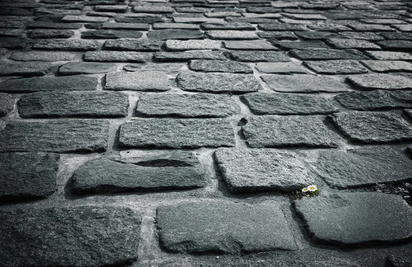 Stone block pavement — Stock Photo, Image