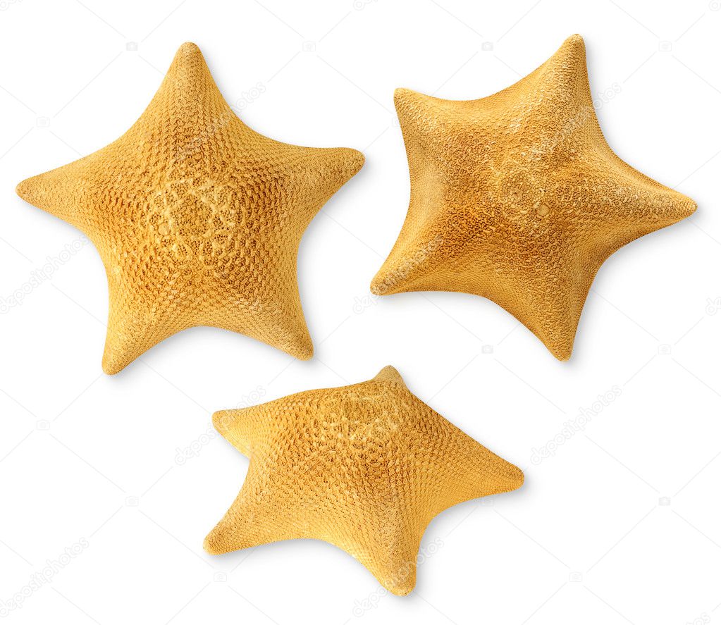 Sea stars