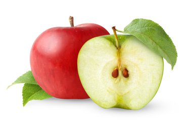 Two apples clipart