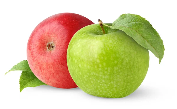 stock image Two apples