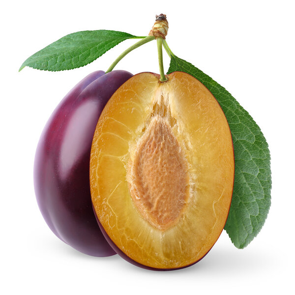 Plum