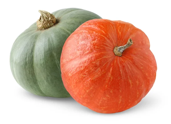 stock image Two pumpkins