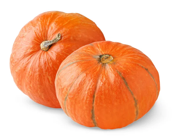 Two pumpkins — Stock Photo, Image