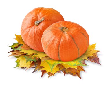 Two pumpkins clipart