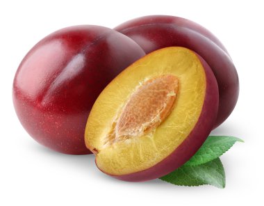 Plum clipart