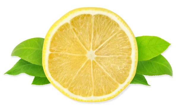 Limón aislado — Foto de Stock
