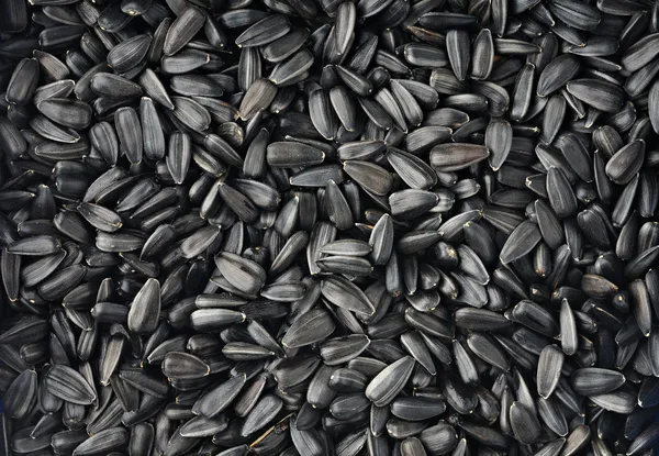 Sunflower seeds smiling — Stock Photo © photomaru #4803755