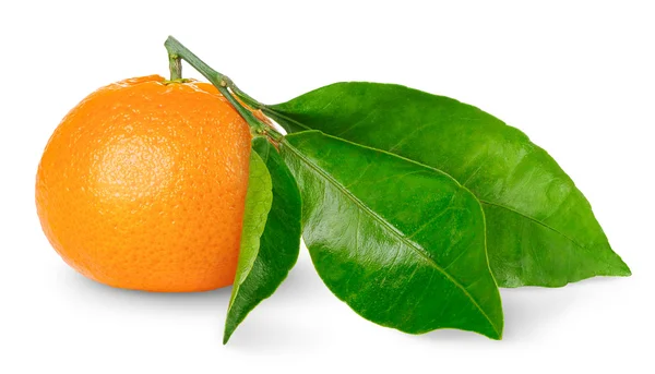 Tangerine Isolated White — Stock Photo, Image
