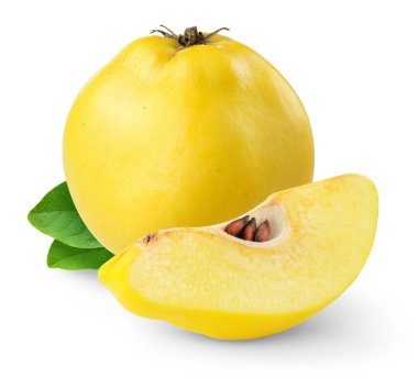 Quince isolated on white clipart
