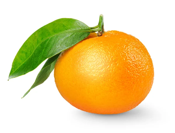Tangerine Isolated White — Stock Photo, Image