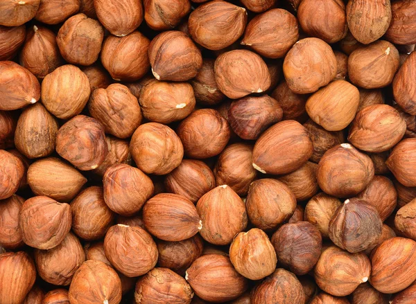 stock image Hazelnut background