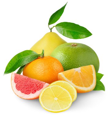 Citrus fruits clipart