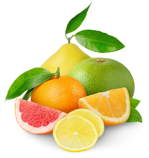 Citrusvruchten — Stockfoto