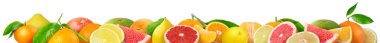 Citrus fruits clipart