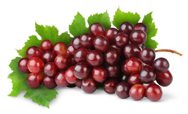 Purple grape clipart