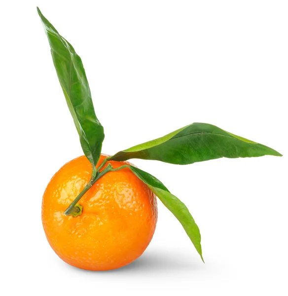 Mandarino Con Foglie Isolate Bianco — Foto Stock