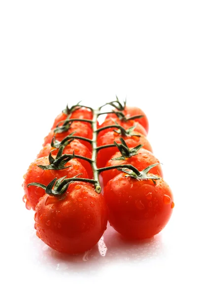 stock image Tomatoes