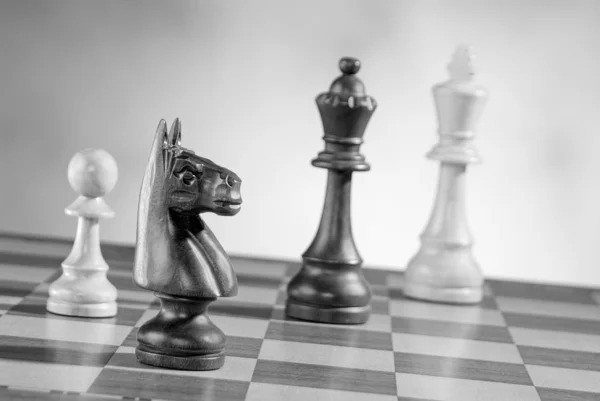 Trä schack spel bitar — Stockfoto