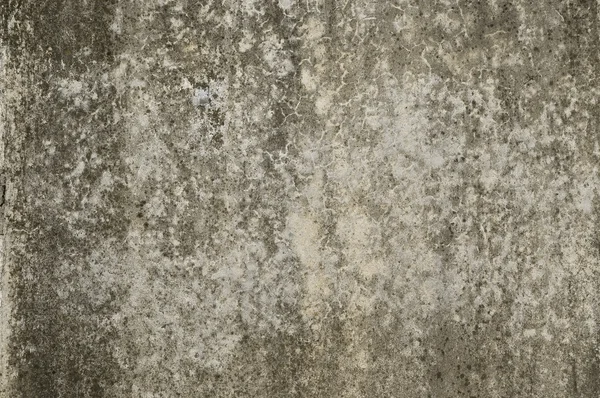 stock image Grunge wall background