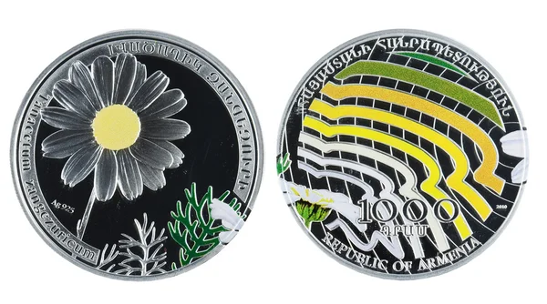 Monedă de argint comemorativă — Fotografie, imagine de stoc