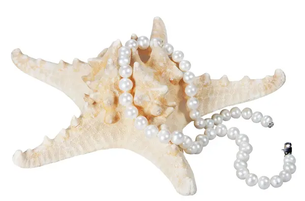 Starfish Pérolas Fundo Branco — Fotografia de Stock