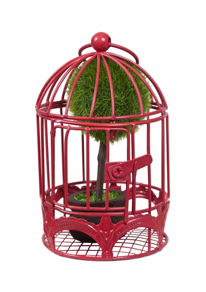 Nature Caged — Stock Photo, Image