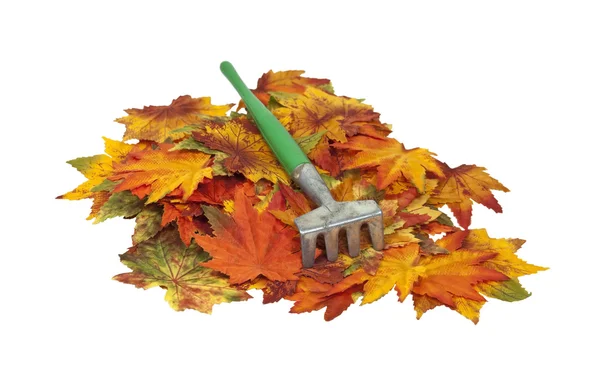 Barevný podzim listí hrábě — Stock fotografie