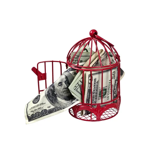 Geld vliegen de kippenren — Stockfoto