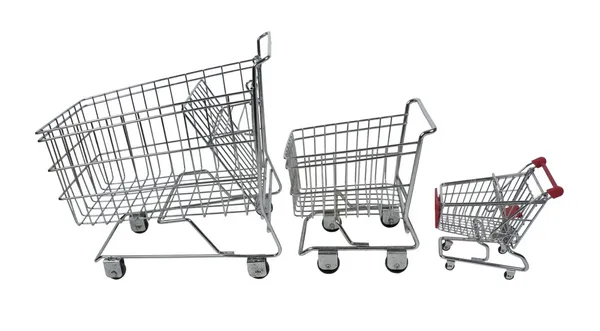 Family Shopping Carts — Stock Photo, Image