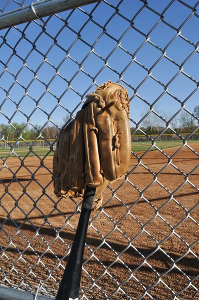 Basebollträ och handske — Stockfoto