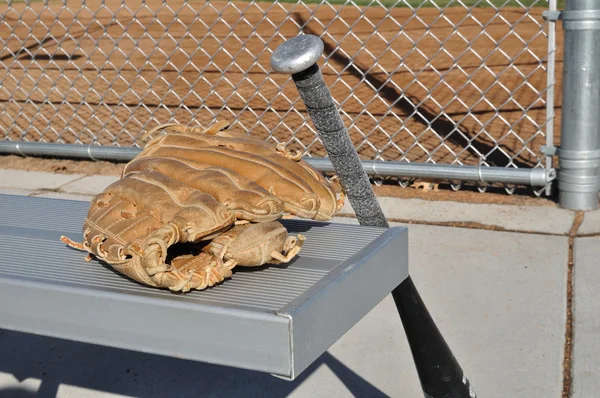 Kij baseballowy i rękawic — Zdjęcie stockowe