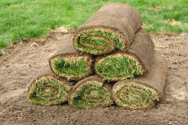 Stack of Sod Rolls — Stock Photo, Image