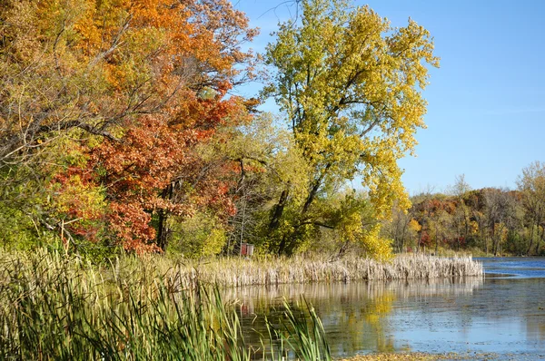 Podzimní rybník scéna — Stock fotografie