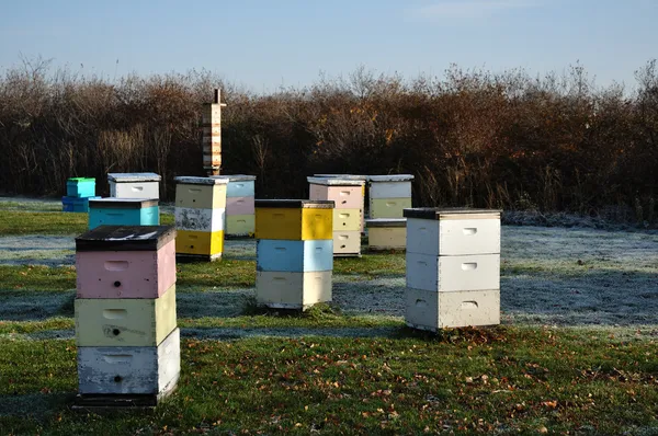 stock image Multi-Colored Langstroth Bee Hives