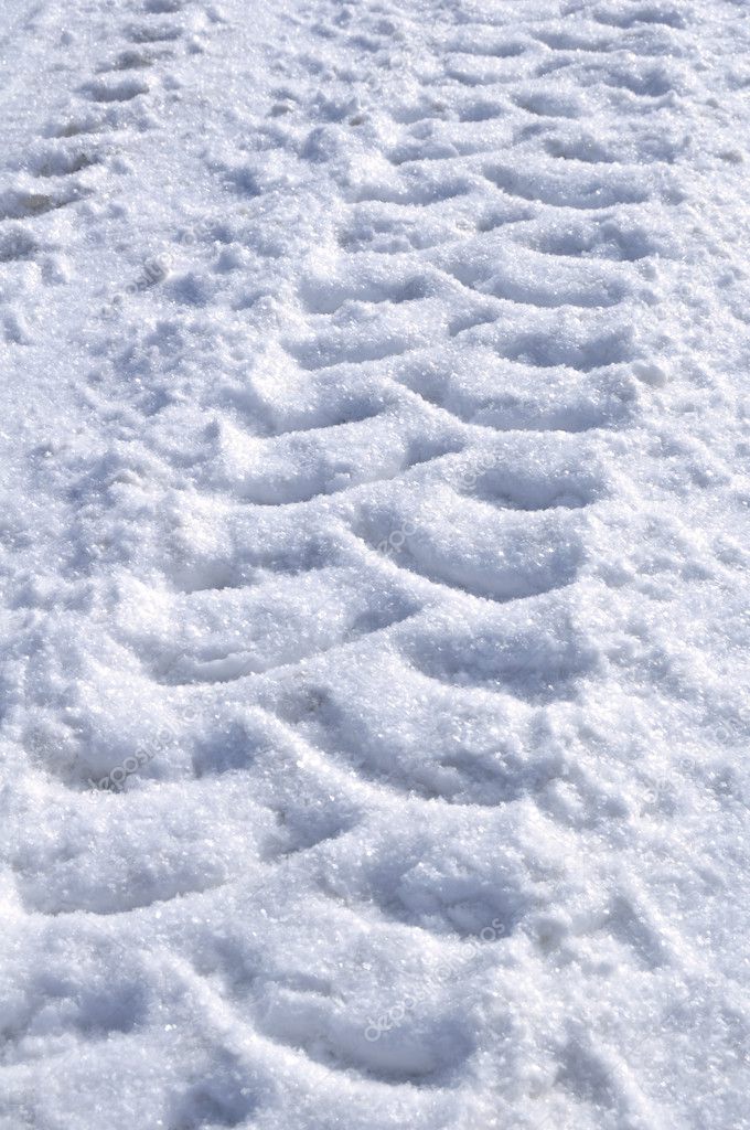 Tire Tracks in the Snow — Stock Photo © herreid #5228594