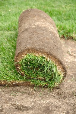 Sod Roll clipart