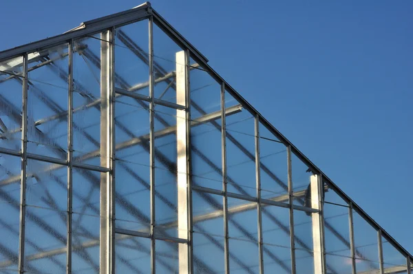 Taket på växthuset mot blå himmel — Stockfoto