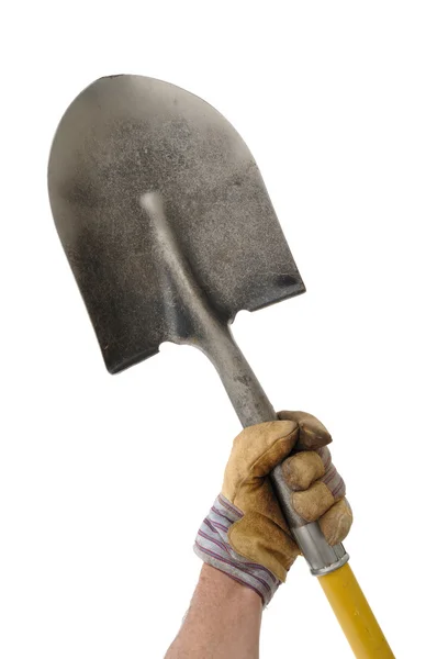 Садівник тримає лопату — стокове фото