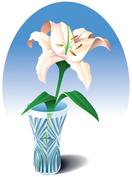 Lily dans le vase — Photo
