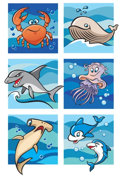 Marine life — Stock Image Marine life Stock Photo