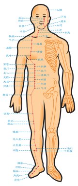Chinese acupuncture points, with native hieroglyphic names illustration clipart