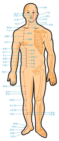 Chinese Acupuncture Points Native Hieroglyphic Names Illustration — Stock Photo, Image