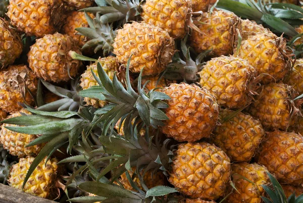 stock image Fresh pineapple on market