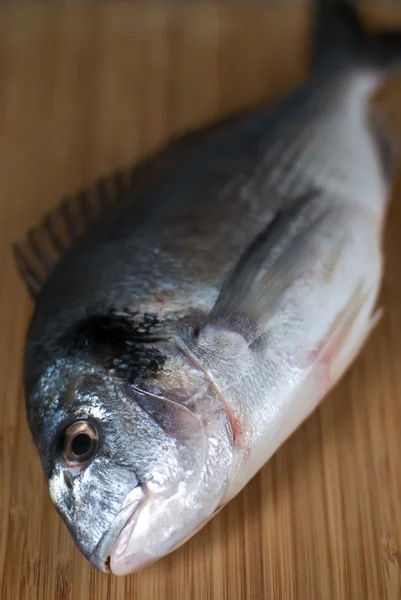 stock image Fresh gilthead