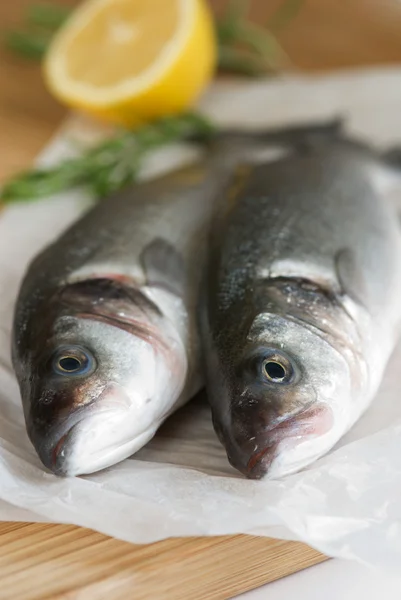 stock image Fresh sea bass